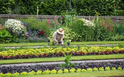 Entretenir votre jardin et réduire vos impôts grâce à un jardinier