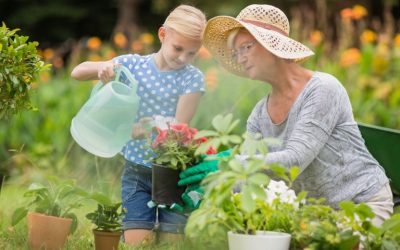 5 conseils pour embellir votre jardin ce printemps